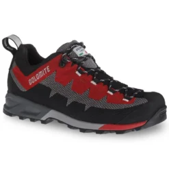 Dolomite Steinbock WT GTX Low Shoe